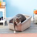 Catit Cat Pan with Rim, Gray