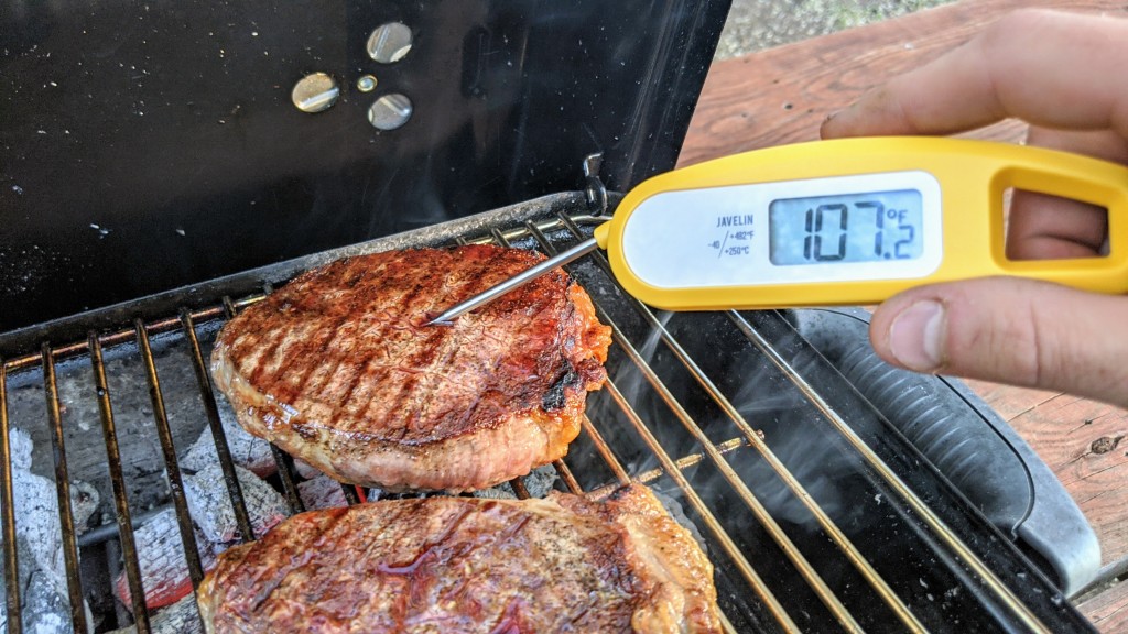 meat thermometer - the javelin has one of the shorter probes in our test fleet.