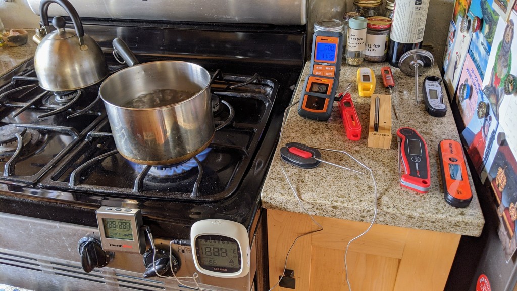 meat thermometer - we chose to test each thermometer's accuracy in ways where we could...